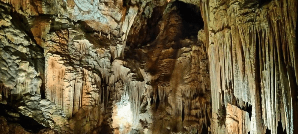 visiter grotte chauvet - aven l'orgnac - ardeche