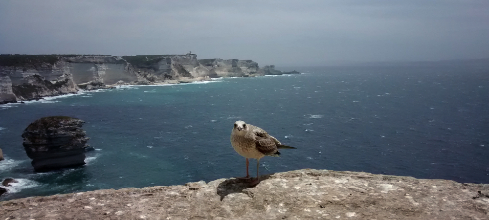 Bonifacio Corse Méditerranée