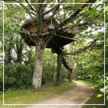 cabane arbres
