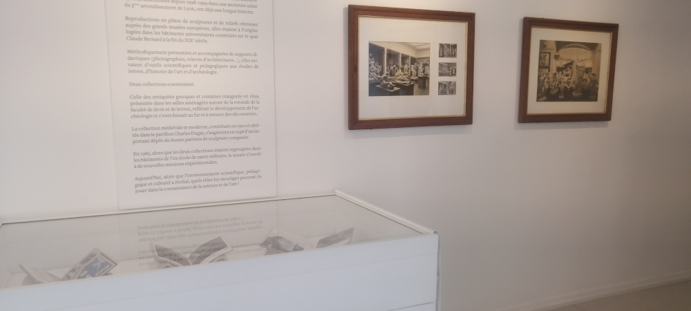 visiter musée des moulages lyon