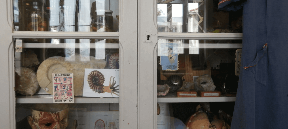 musée classe lyon cabinet curiosité