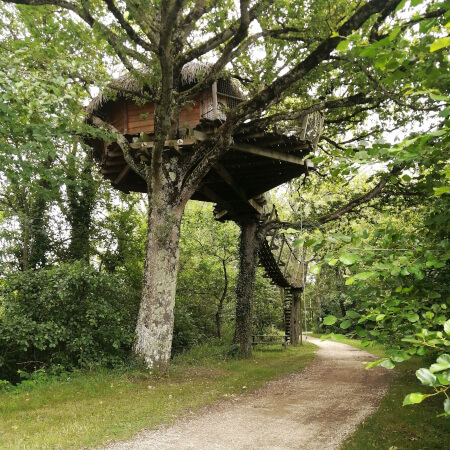 domaine des dombes