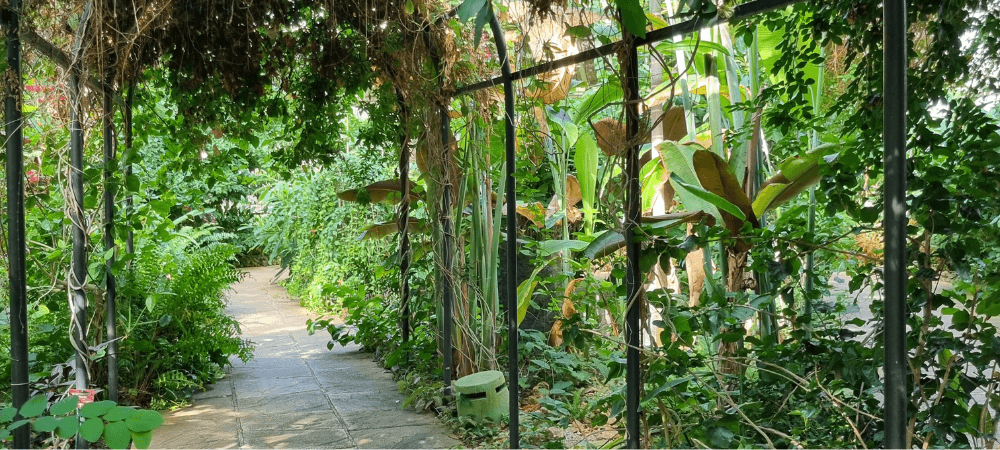 serre tropicale parc phoenix nice